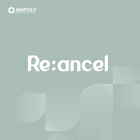 Re:ancel 아이덴티티 디자인 - 브랜딩 포트폴리오